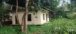 SMALL OLD HOUSE AND 7.5 CENT
