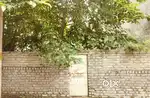 Residential approved plot