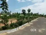 Happy Daresha Festival Offer Plots Starting at Just ₹1199/sqft