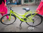 1 year old cycle