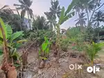 5 cent residential plot for sale near chembumukku. mla road