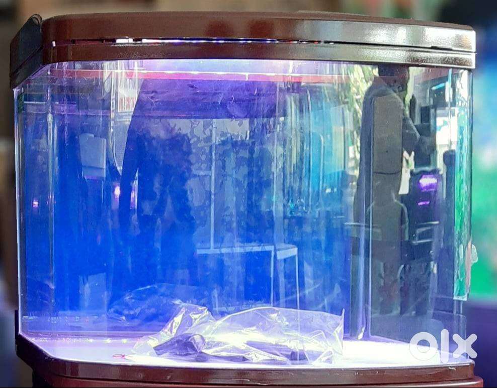 Aquarium Set