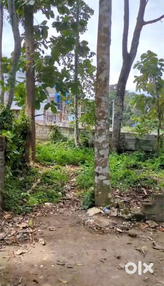 5 cents of land for sale near Sasthamagalam at 8.25 lakhs per cent