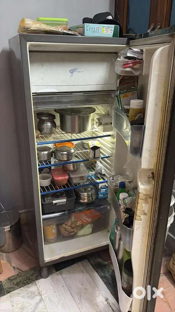 Single Door Refrigerator – Fully Working, Great Price