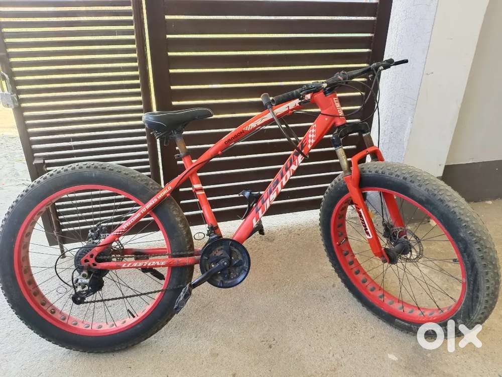 Jaguar Fatbike With Simano Gears 7×3 , dual disc brakes (front, Rear)
