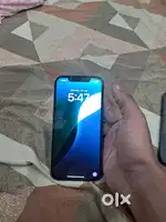 12 pro max