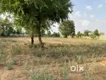 Selling Farmland in Bichoon, Ajmer road