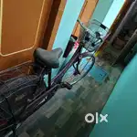 Cycle lady bird