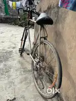 Racing cycle