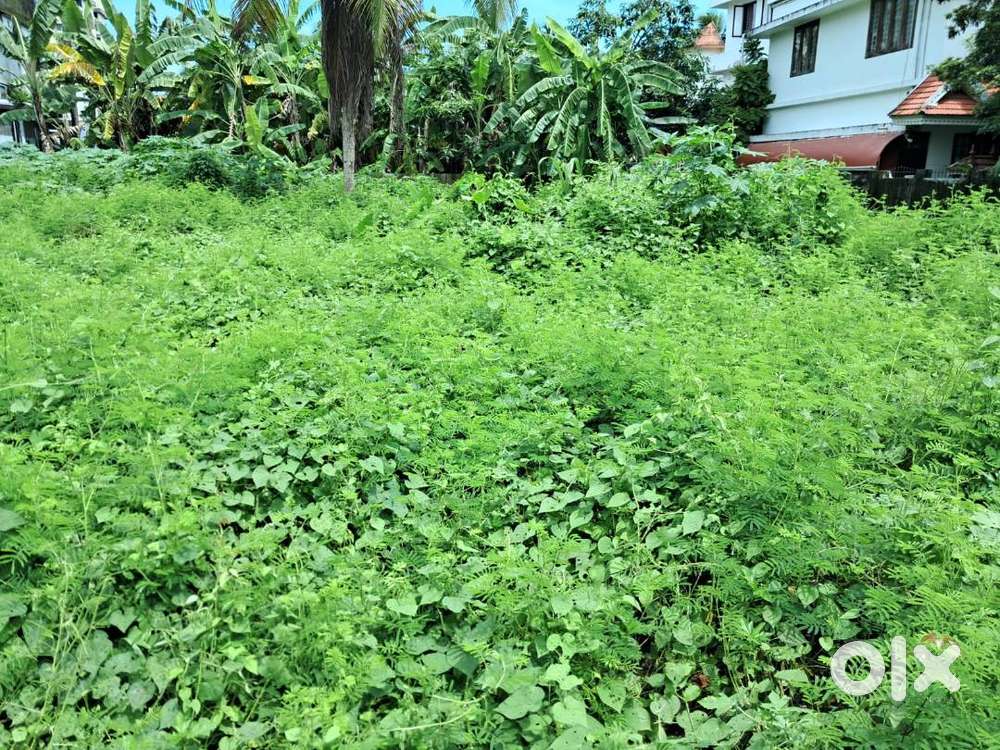 7.700Cents of Residential Land in Kadavanthra.