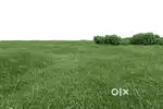 Best location land