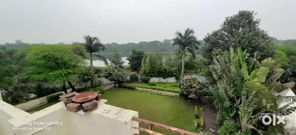Dhanlaxmi colony nipaniya