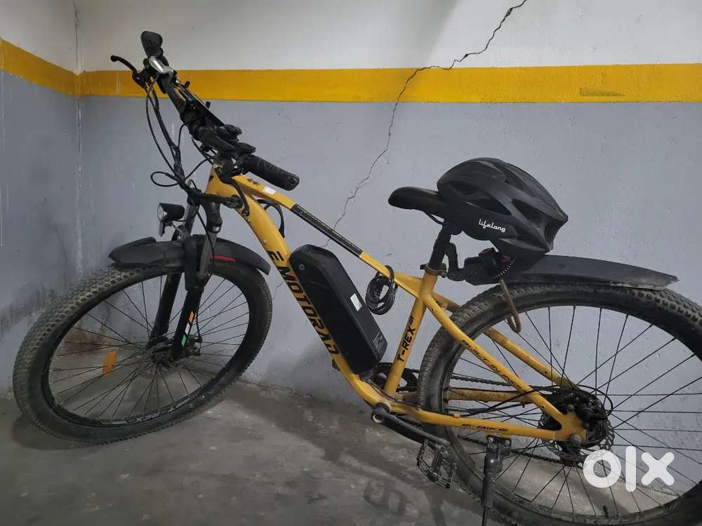 EMotorad T Rex Air in good condition