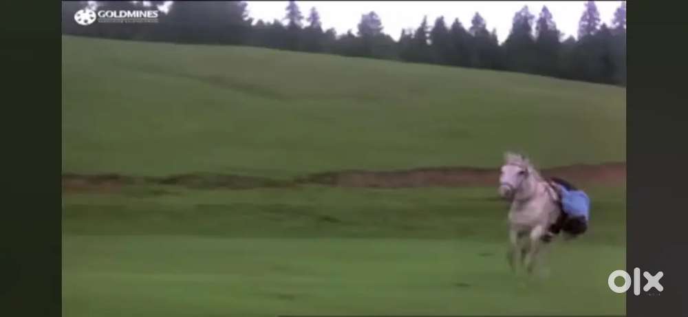 Commercial plot at gulab bagh for sale