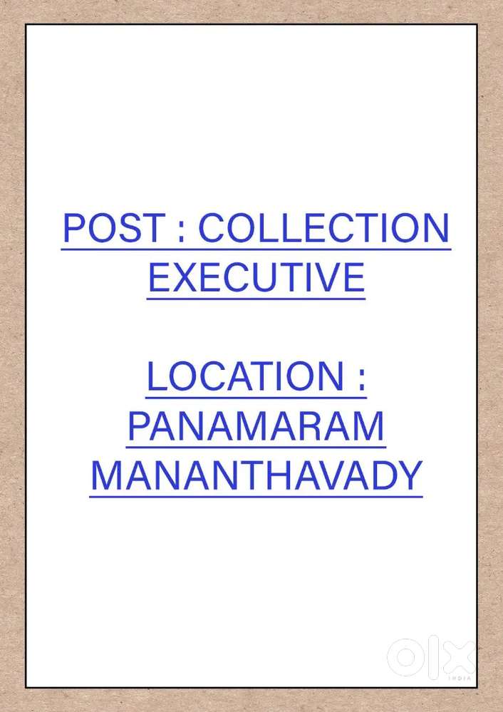 COLLECTION EXECUTIVE