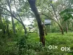 SOLID LAND . RUBBER , HOUSING . MULTIPURPOSE. KAYILIAD