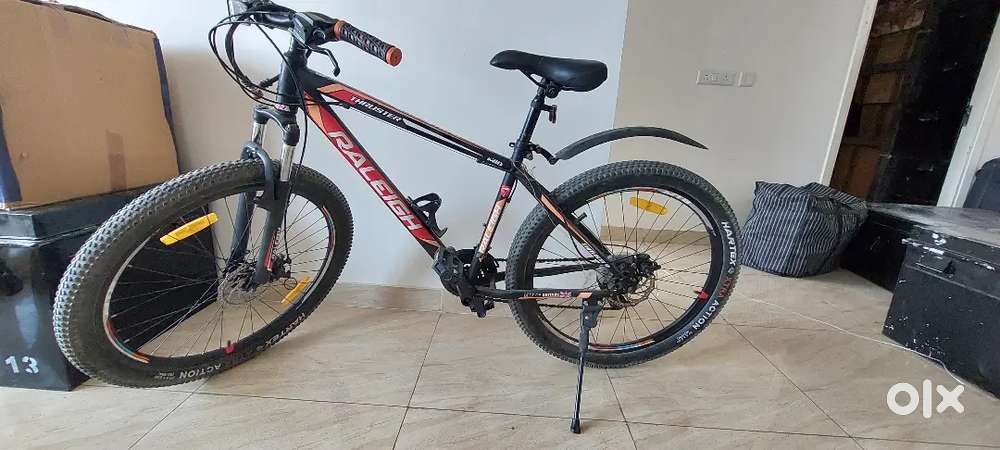 Raleigh Thruster 29inch