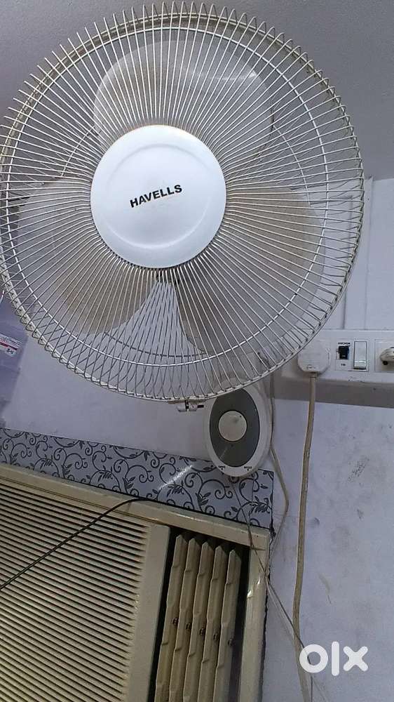 Wall fan for sale