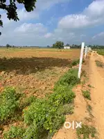 Mirzapur deepnagar patehra se matra 2 kilo mitar 24 bigha 600000 bigha