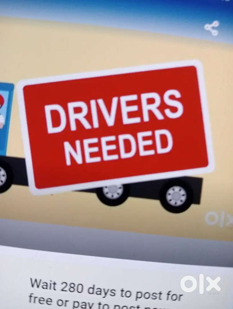 Bigbasket and courier driver cum delivery