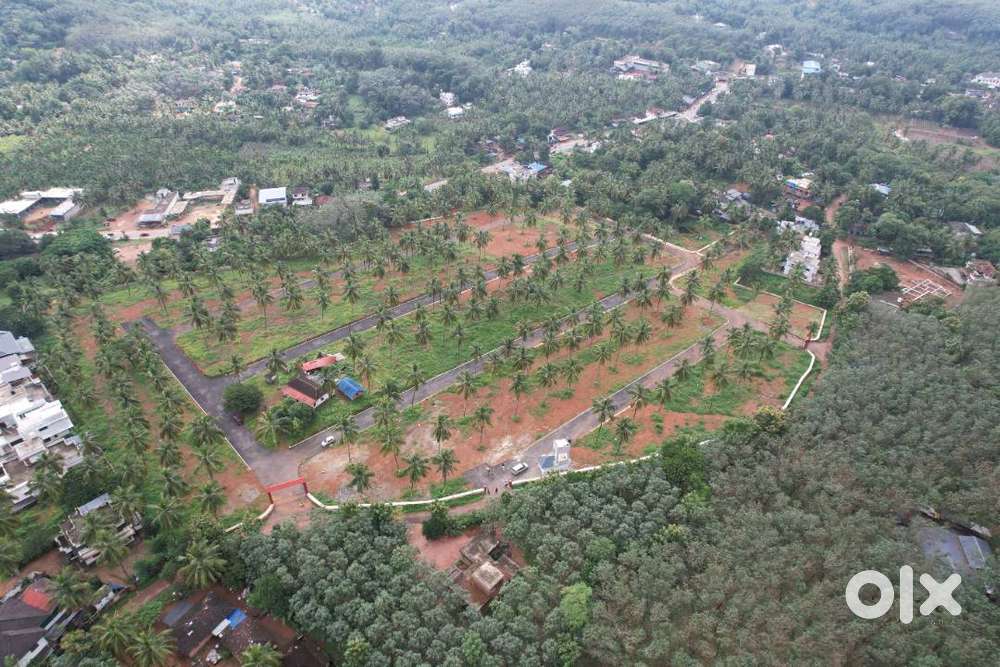 9 Cent House plot for sale in Viyyakurissi,Palakkad