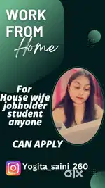 Part time - Full time ka option, mobile & internet hona chahiye
