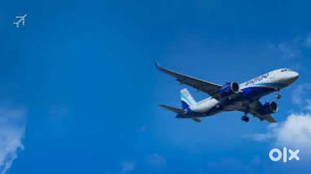 Cabin Crew/Airport Ground Staff Jobs In IndiGo Airlines Apply Fast