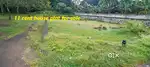 11 cent house plot for sale in victoria college palakkad town area