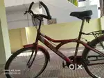 Cyclone New model F series