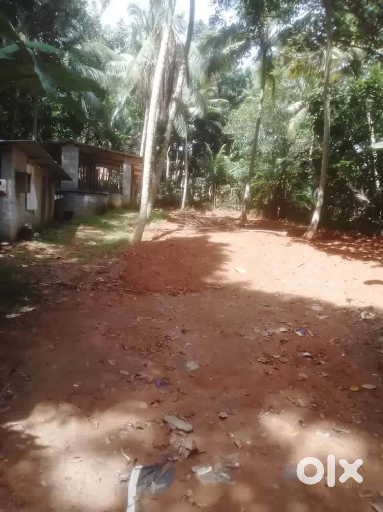 Plot for sale in Uchakada, Chavadinada