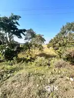 2 1/2 katha Land sale urgent