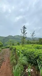 Land for sale at near Vagamon Meadow's. Total 5 Acres. Clear documents
