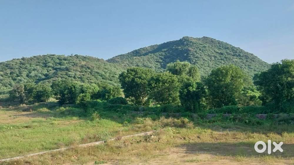 Residance plots and farmhouse