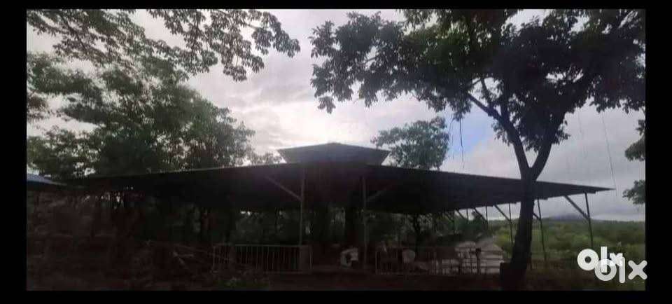 Dairy, Goatery, Piggery, Poultry, etc Project Shed