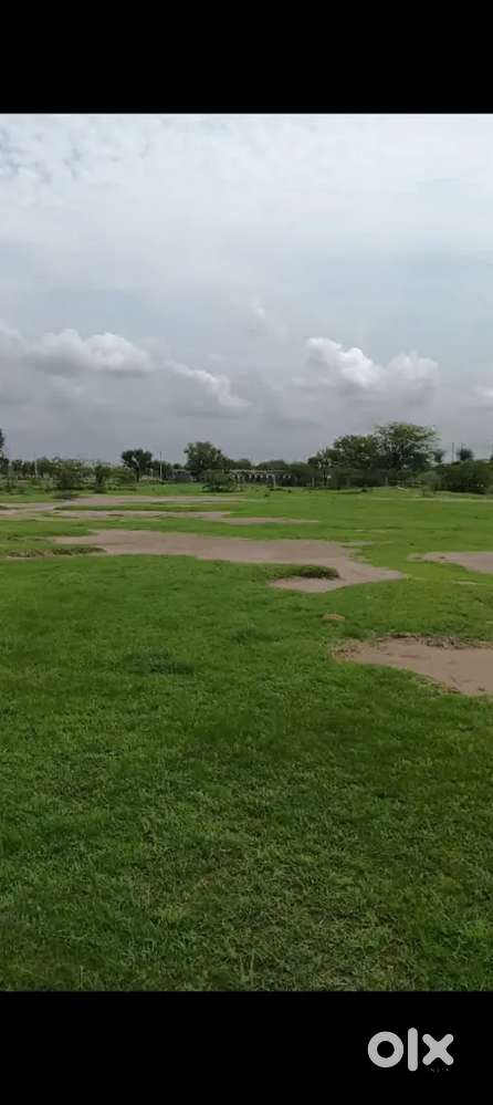 7.500 bigha farm house