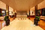 Broad Bean Resort munnar