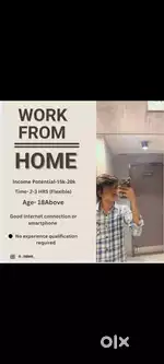 Online business (work form home)