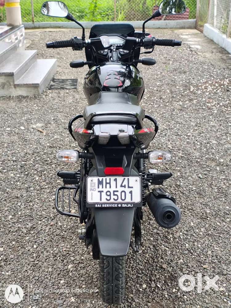 Pulsar 125  2024