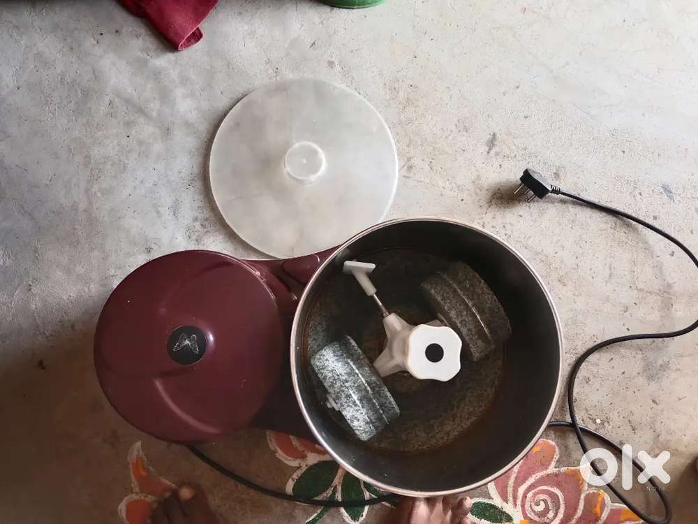 BUTTERFIY HIPPO GRIYADAR