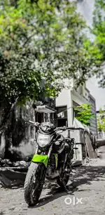 Fz old model