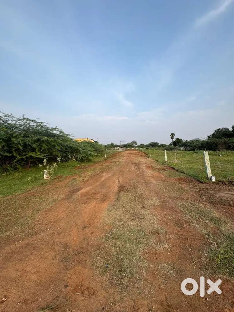 2 Plots-50Mts from Main Road-Plot is on 23Ft & Main is 30Ft Road.