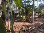 Plot for sale