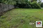 Commercial plot in Vallikode, Palakkad for sale