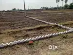 Real estate developer