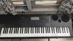 CASIO WK-6600(Piano)