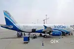 Cabin crew/Airport Ground Staff Jobs in Indigo limited vacancy Apply