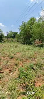 State highway property, Mandya- melkote main road property