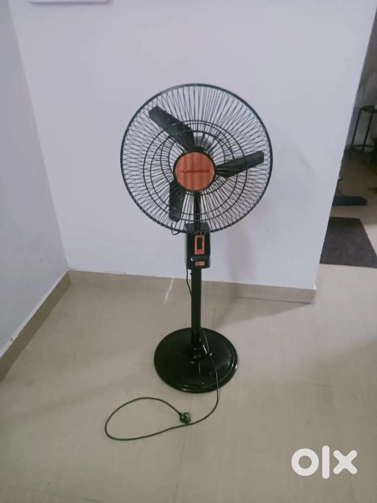 Stand fan almonad