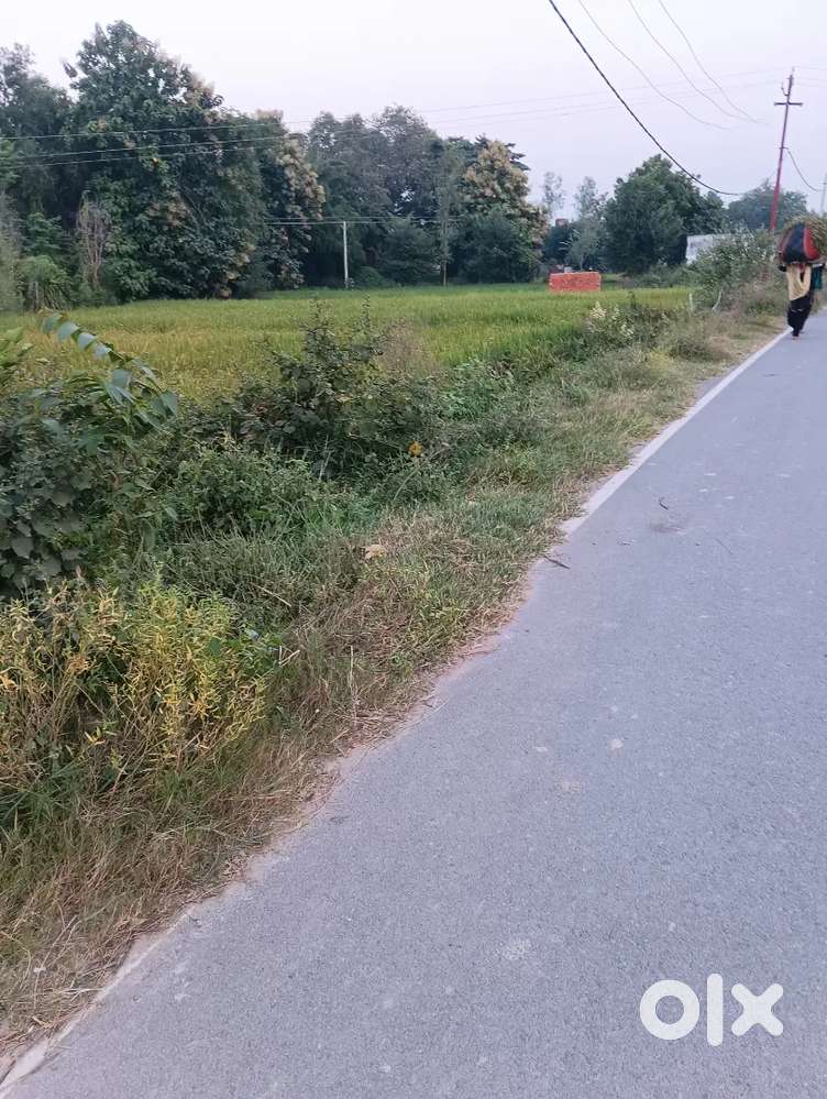 Plot for sell in payal par_ bhuariya Marg mahsin me 4 vishwa