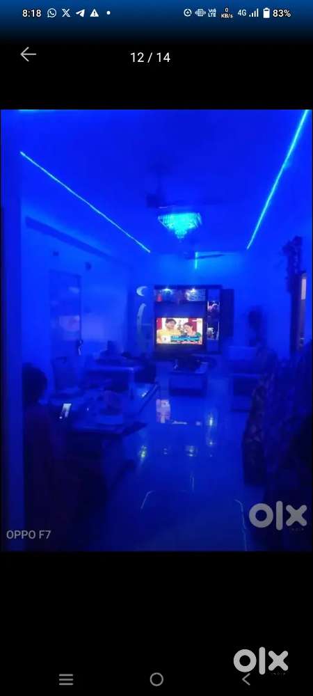 Anything fortune Homes